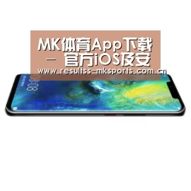 华为无线快充手机