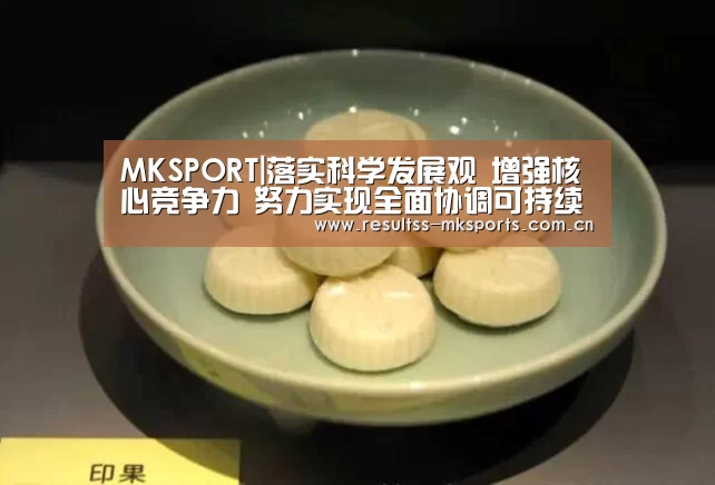 MKSPORT|落实科学发展观 增强核心竞争力 努力实现全面协调可持续发展(图2)
